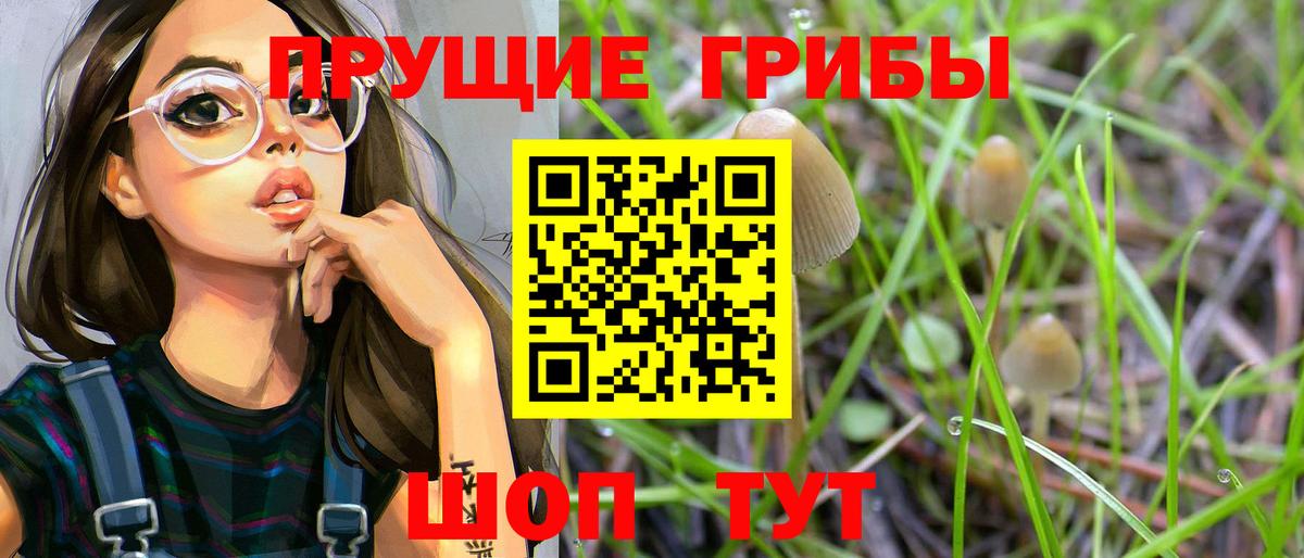 закладки  Вход с VPN  Галлюциногенные грибы ЛСД  Энгельс  Галлюциногенные грибы Psilocybe 