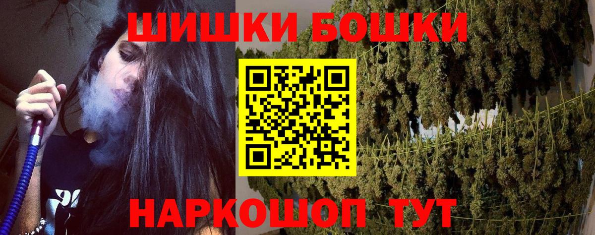 Бошки Шишки планчик Энгельс
