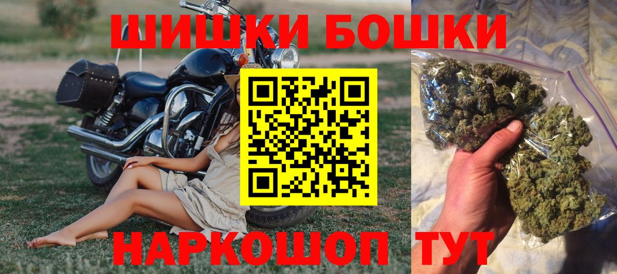 Каннабис семена  Марихуана план  Шишки марихуана OG Kush  Энгельс  Вход с VPN 